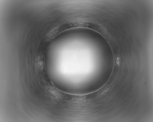 X0000061100771200511210906