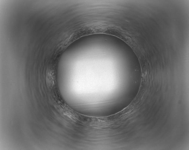 X0000061100772200511210906