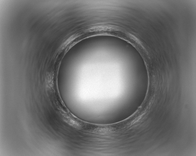 X0000061100778200511210906