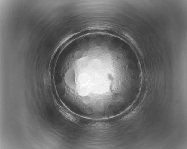 X0000061100779200511210906