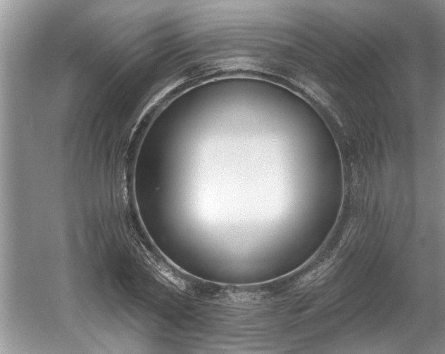 X0000061100782200511210906