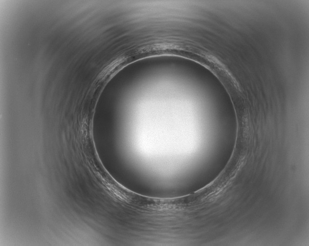 X0000061100785200511210906