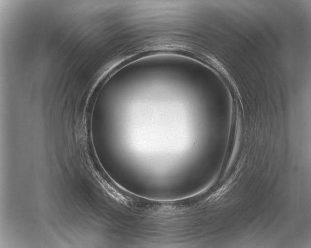 X0000061100787200511210906