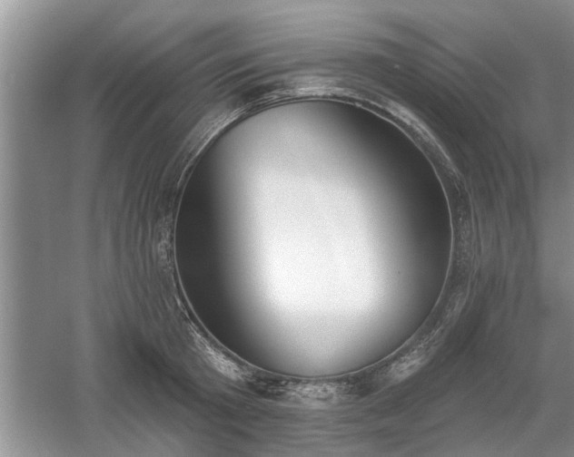 X0000061100801200511210906