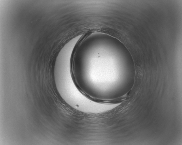 X0000061100818200511210904