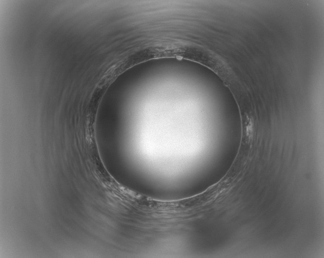 X0000061100819200511210904