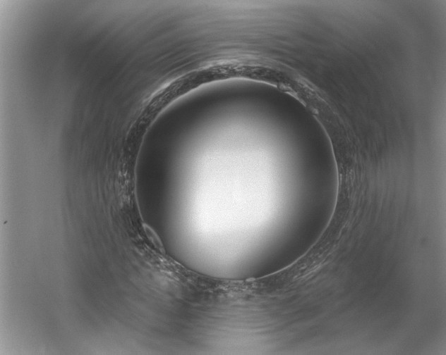 X0000061100822200511210905