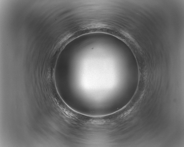 X0000061100825200511210905