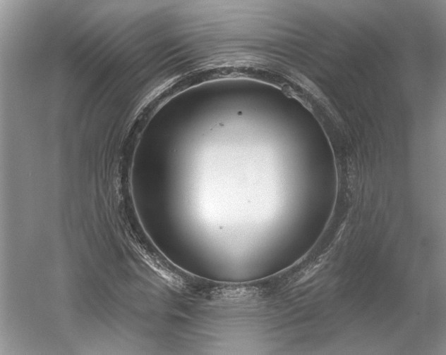 X0000061100826200511210905
