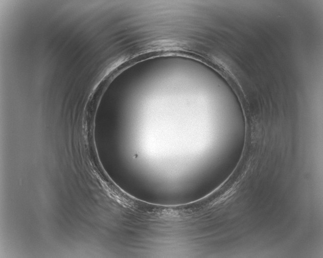 X0000061100827200511210905
