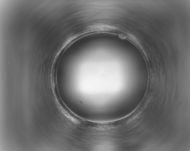 X0000061100843200511210905