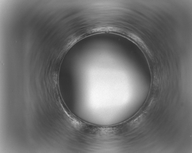 X0000061100849200511210905