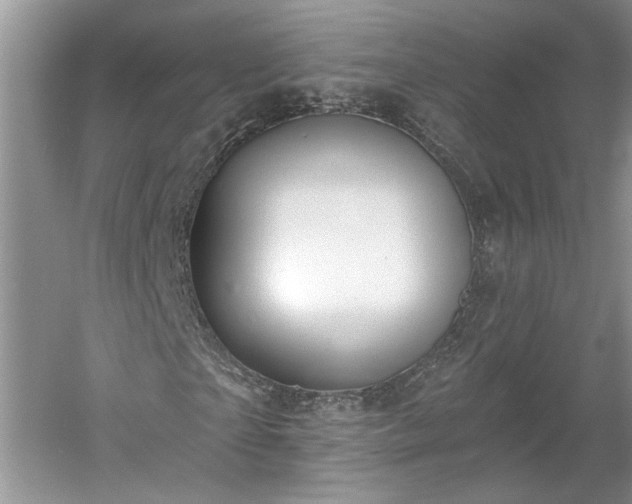 X0000061100865200511210904