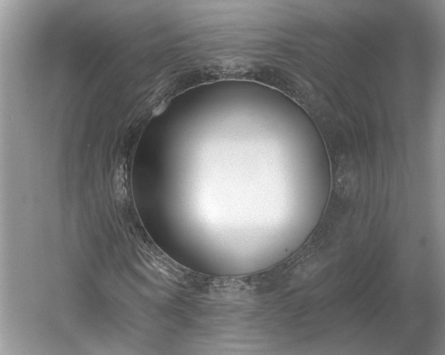 X0000061100866200511210904