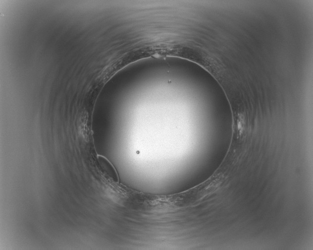X0000061100867200511210904