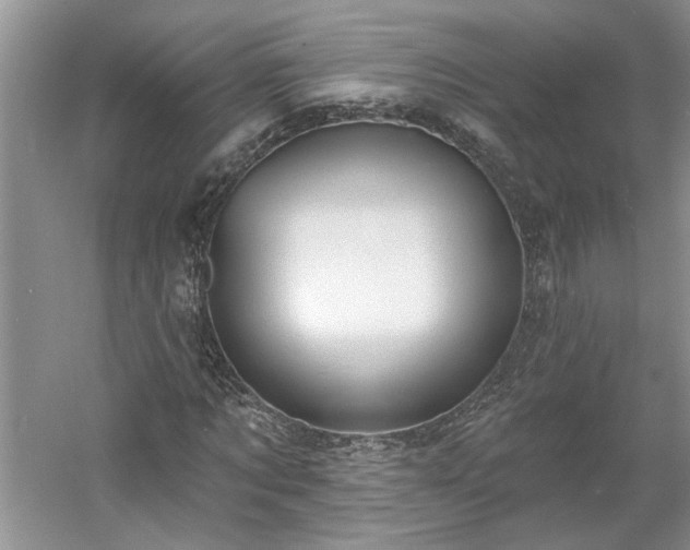 X0000061100869200511210904