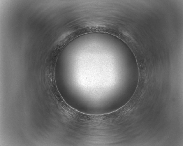 X0000061100870200511210904
