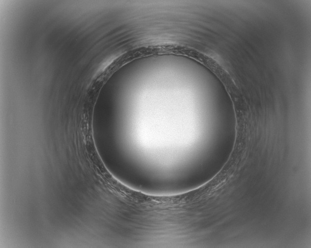 X0000061100871200511210904