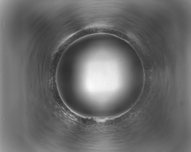 X0000061100872200511210904
