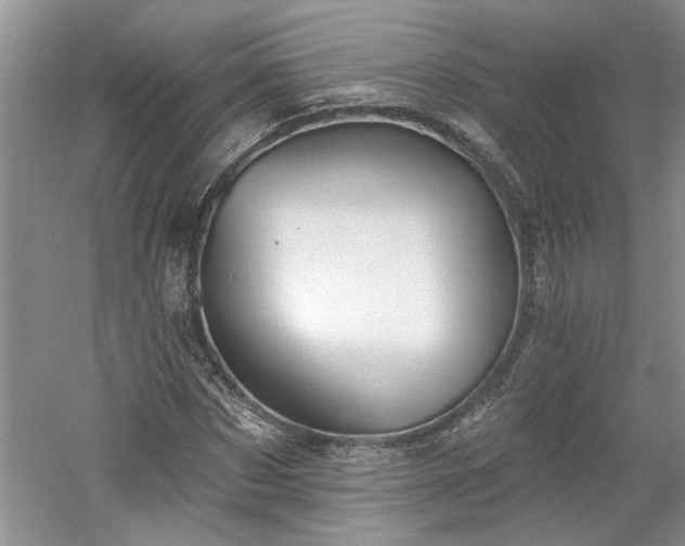 X0000061100873200511210904