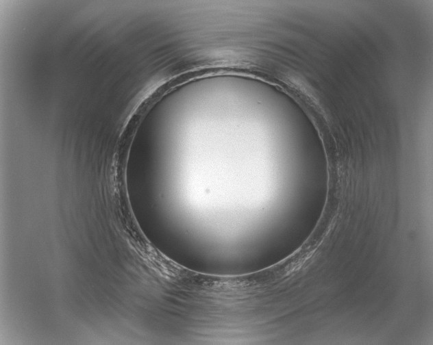 X0000061100875200511210904