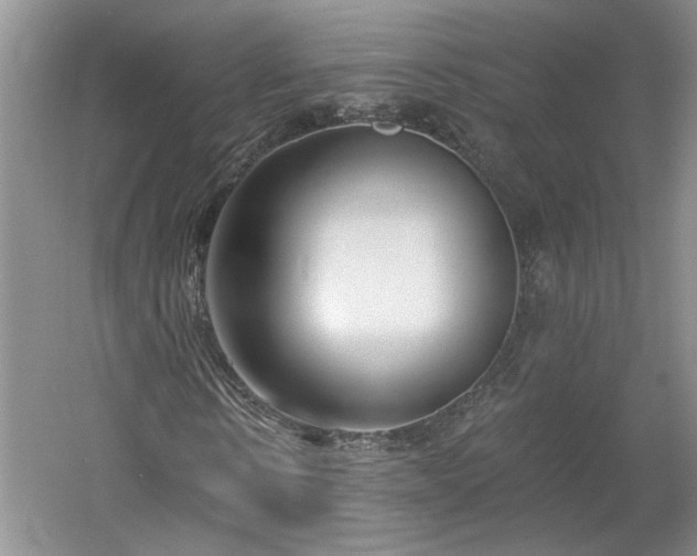X0000061100914200511210903