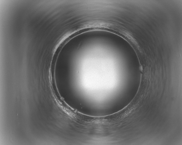 X0000061100936200511210903