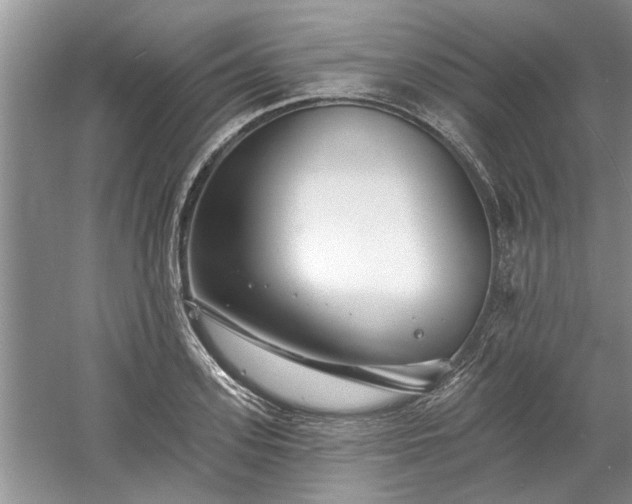 X0000061100939200511210903