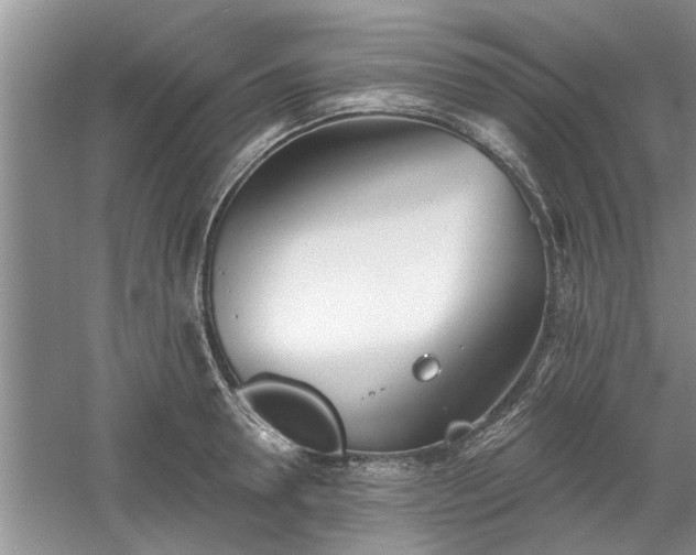 X0000061100946200511210903