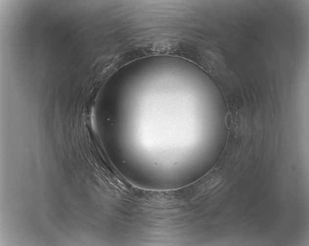 X0000061100962200511210903