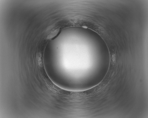 X0000061100963200511210903
