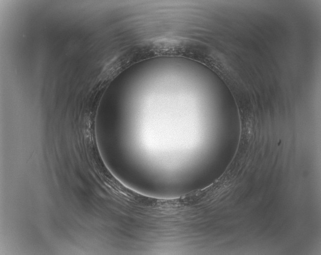 X0000061100964200511210903