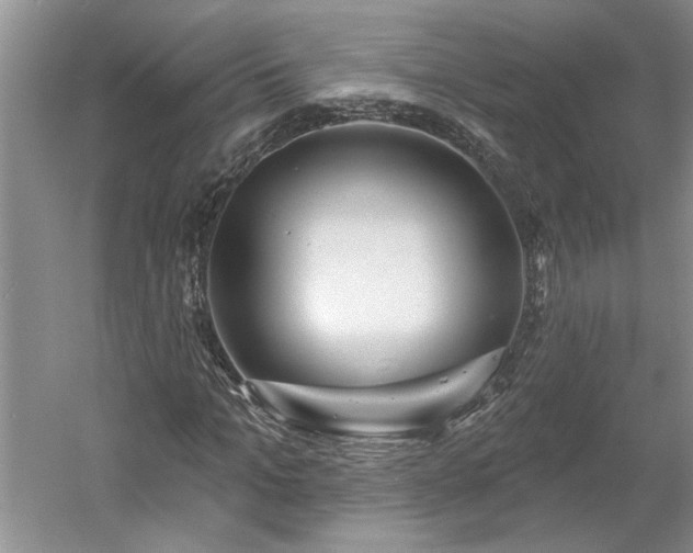 X0000061100965200511210903