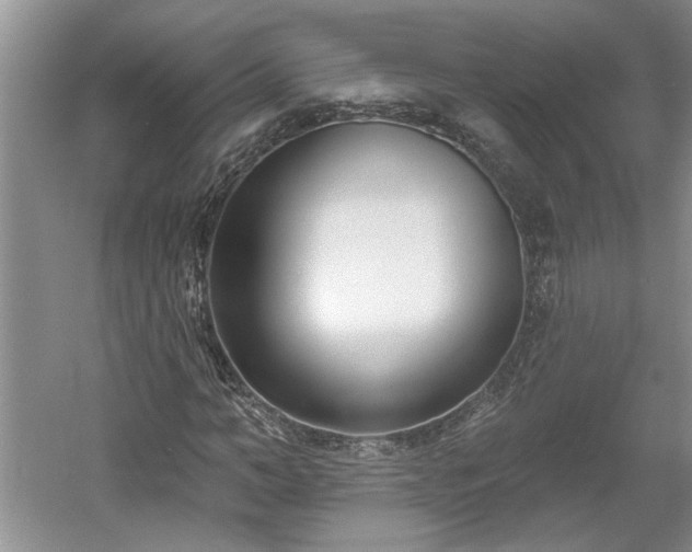 X0000061100966200511210903