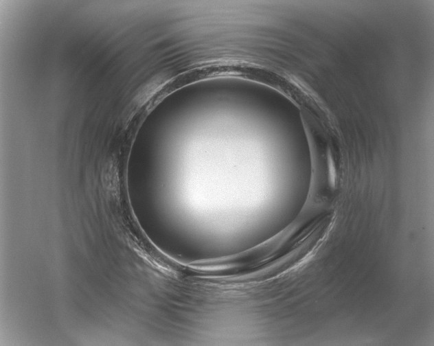 X0000061100969200511210903