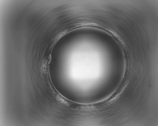 X0000061101001200511210902