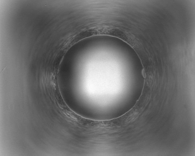 X0000061101010200511210901
