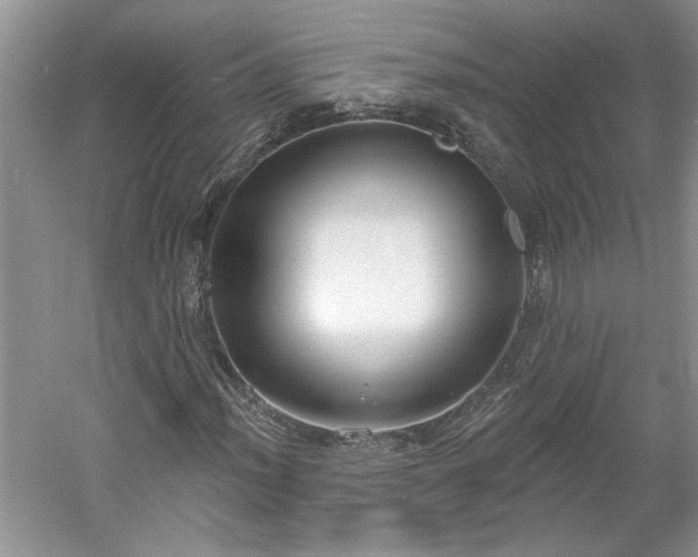 X0000061101012200511210901