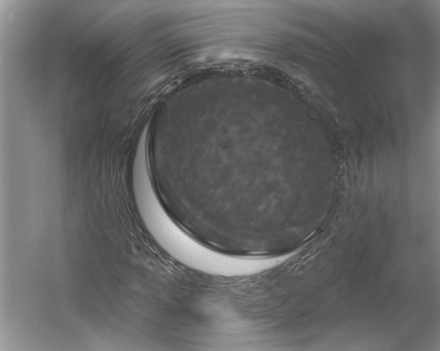 X0000061101013200511210901