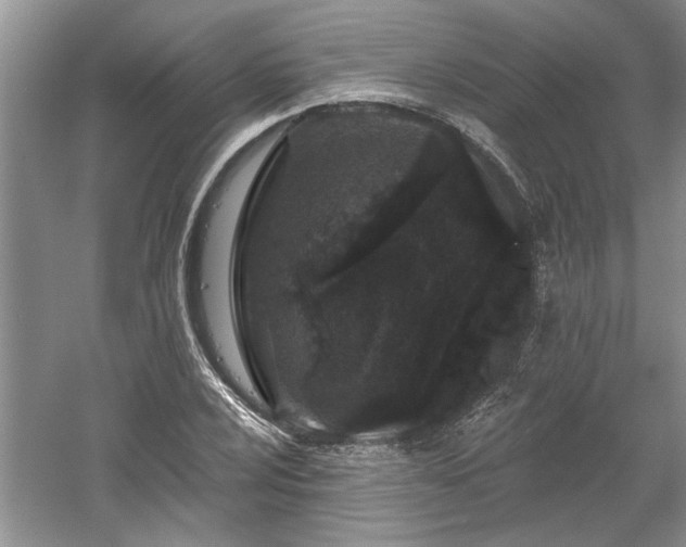 X0000061101024200511210901