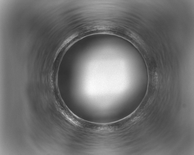 X0000061101026200511210901