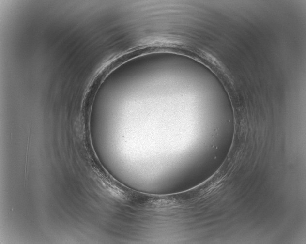 X0000061101027200511210901