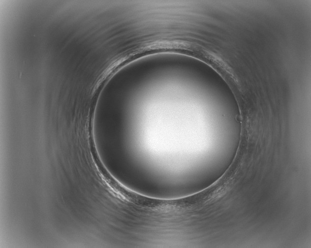 X0000061101033200511210902