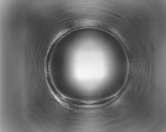 X0000061101034200511210902