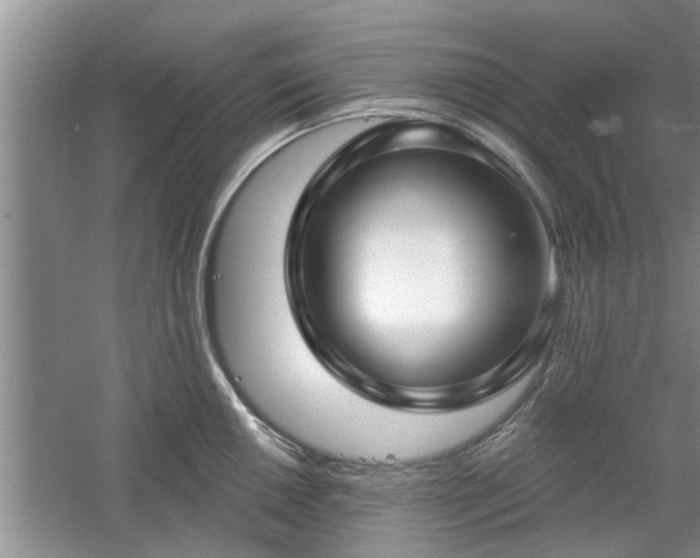 X0000061101050200511210902