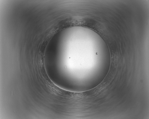 X0000061101058200511210901