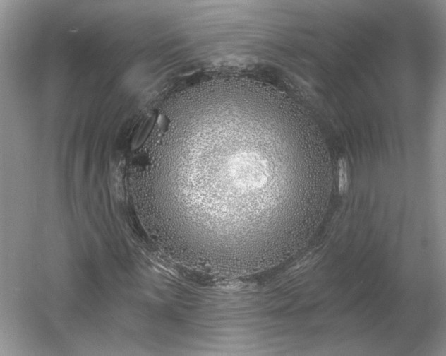 X0000061101059200511210901