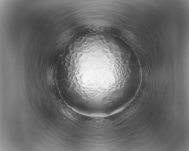 X0000061101060200511210901