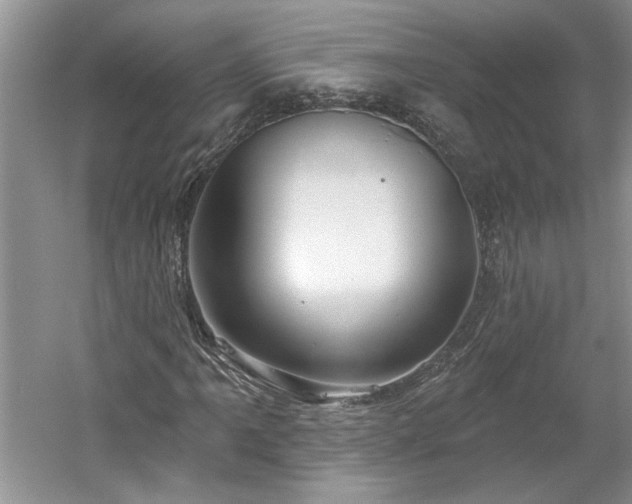 X0000061101061200511210901