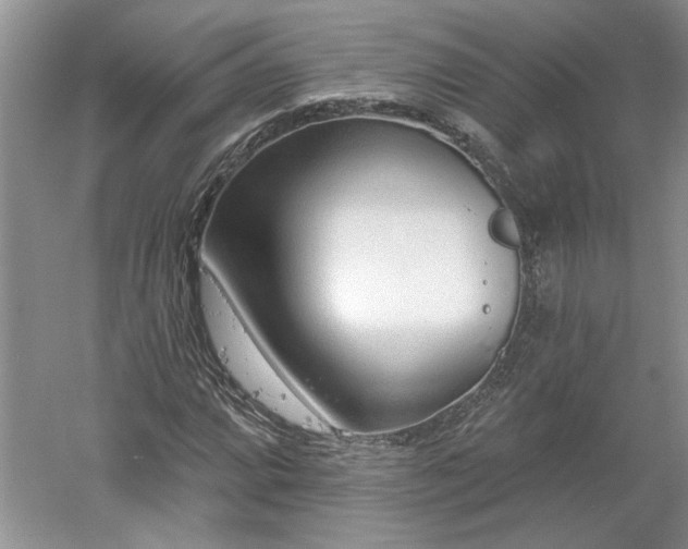 X0000061101064200511210901